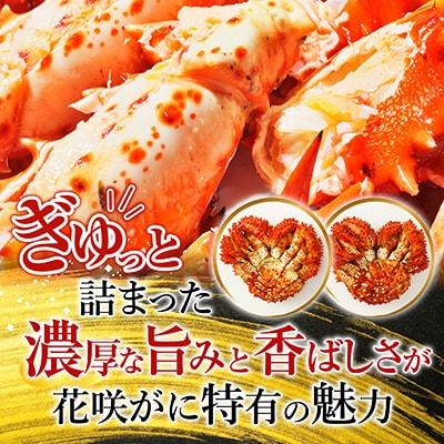 【北海道根室産】花咲がに500g前後×2尾 G-54002
