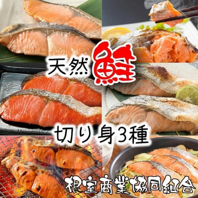 天然鮭切り身3種(紅鮭・沖獲れ鮭・秋鮭) G-18011