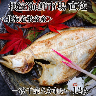 【北海道根室産】一夜干し宗八かれい12枚 G-11006