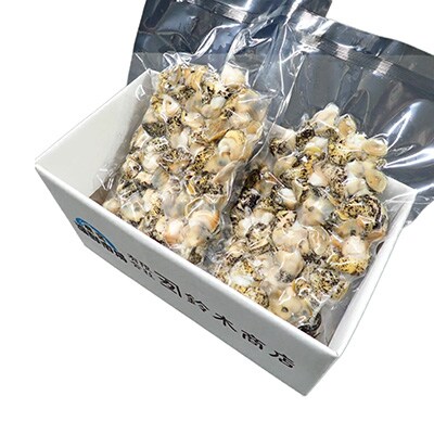 【北海道根室産】生食用灯台つぶ(ボイル済)250g×2P(計500g) G-11040