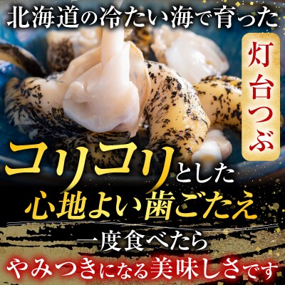 【北海道根室産】生食用灯台つぶ(ボイル済)250g×2P(計500g) G-14040