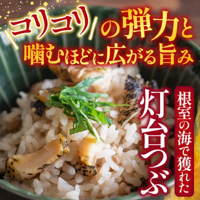 【北海道根室産】生食用灯台つぶ(ボイル済)250g×2P G-28040