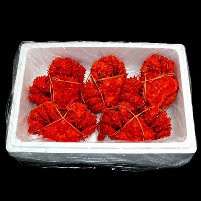 【北海道根室産】ボイル花咲かに4～7尾(計約2.4kg) C-42080