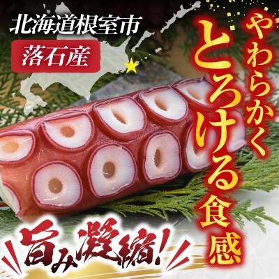 【北海道根室産】ボイル水たこ足ブロック2P(計900g) A-20009