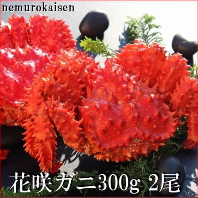 【北海道根室産】花咲ガニ300g×2尾 A-57060
