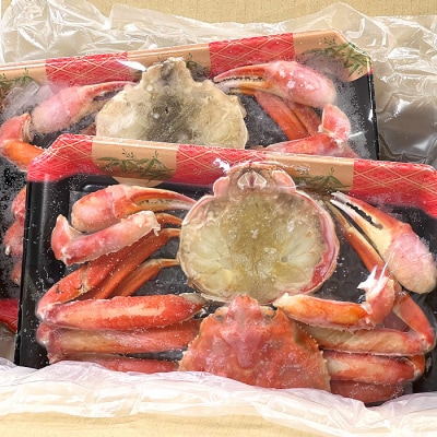 カット済みボイルずわい蟹姿2尾(計1～1.1kg) B-47006
