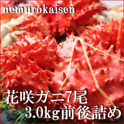 【北海道根室産】花咲ガニ7尾(計3.0kg前後) C-57054