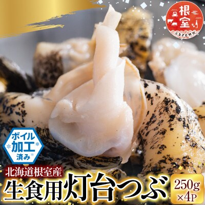 【北海道根室産】生食用灯台つぶ(ボイル済み)250g×4P(計1kg) A-28123