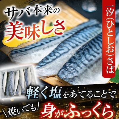 無添加天然サバフィーレ20枚 A-11080