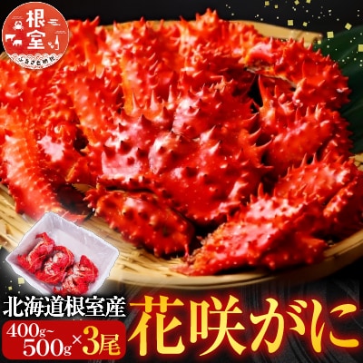【北海道根室産】花咲ガニ400～500g×3尾 B-28121