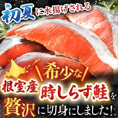 【北海道根室産】時しらず鮭切身1.5kg×1P・1切×2P F-42020