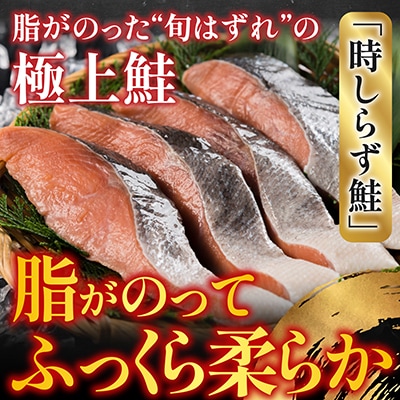【北海道根室産】時しらず鮭切身1切×4P G-42017
