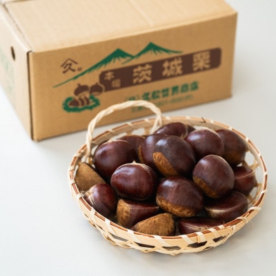 茨城県かすみがうら市産　熟成倉方栗(生栗)約2kg〈2025年11月中旬より順次発送予定〉