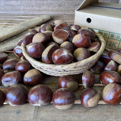 茨城県かすみがうら市産　熟成倉方栗(生栗)約2kg〈2025年11月中旬より順次発送予定〉