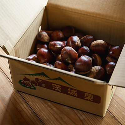 こだわりの熟成生栗約1kg　栽培期間農薬肥料不使用　