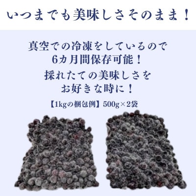 冷凍ブルーベリー1kg(500g×2パック)