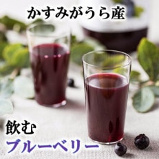 かすみがうら産　飲むブルーベリー　180ml×12本