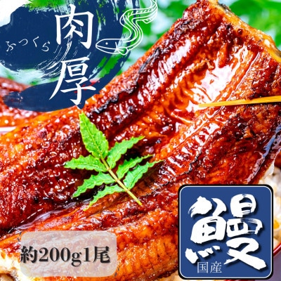 熟練された職人が作る「炭火焼き　国産うなぎ蒲焼」大サイズ約200g×1尾