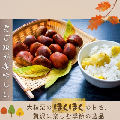 かすみがうら市産　生栗　3Lサイズ　2kg