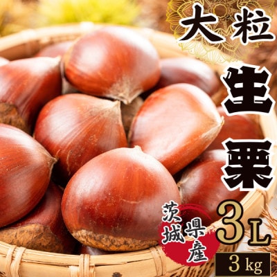 かすみがうら市産　生栗　3Lサイズ　3kg