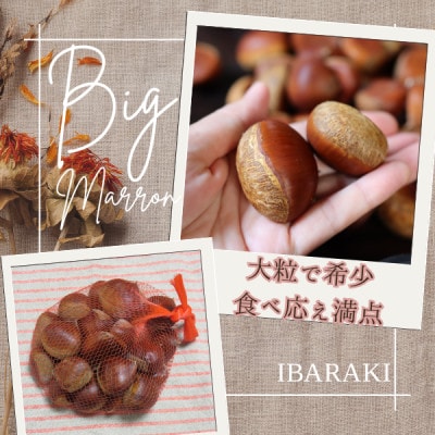 かすみがうら市産　生栗　3Lサイズ　3kg