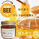 かすみがうら市産『日本みつばち』の純粋はちみつ 150g×2個
