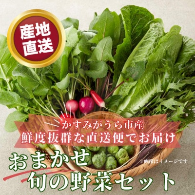 かすみがうら市産 旬の野菜おまかせセット 7～9種(2～3名様分)