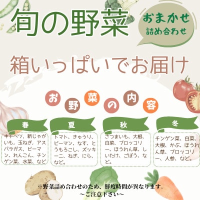 かすみがうら市産 旬の野菜おまかせセット 7～9種(2～3名様分)