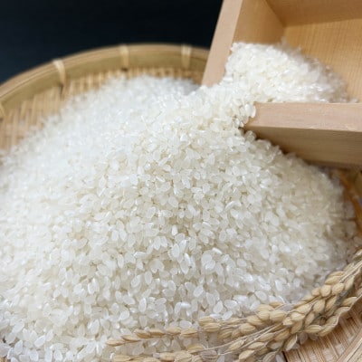 2025年新米 茨城県産 コシヒカリ米(精米)5kg