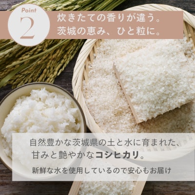 2025年新米 茨城県産コシヒカリ 精米 計10kg