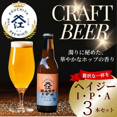 クラフトビール ヘイジーIPA 計990ml 3本セット
