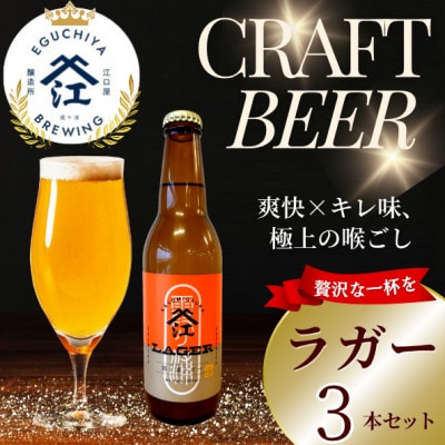 クラフトビール ラガー 計990ml 3本セット