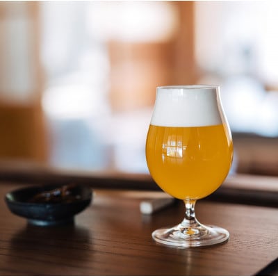 クラフトビール ラガー 計990ml 3本セット