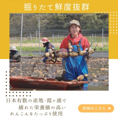 れんこんチップス 30g×5袋セット