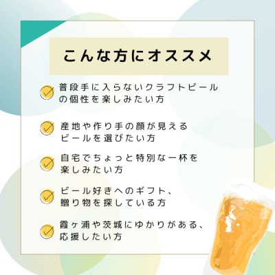 霞ヶ浦エリアの醸造所　江口屋醸造所のクラフトビール2種24本セット