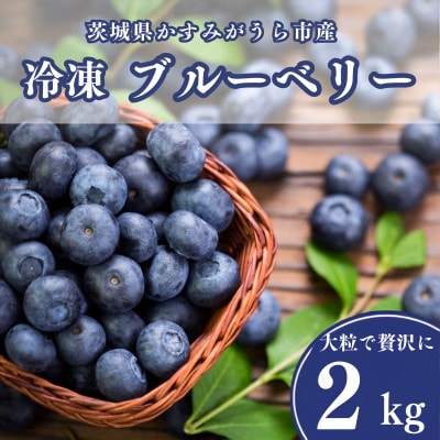 冷凍ブルーベリー2kg(500g×4パック)