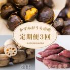 【発送月固定定期便】茨城県 特産品3種全3回