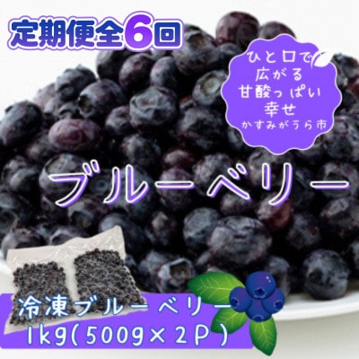 【毎月定期便】冷凍ブルーベリー1kg(500g×2パック)全6回