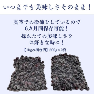 【毎月定期便】冷凍ブルーベリー1kg(500g×2パック)全12回