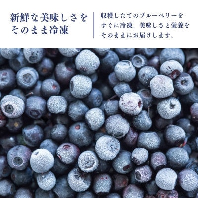 【毎月定期便】冷凍ブルーベリー2kg(500g×4パック)全3回
