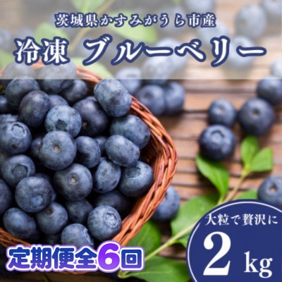 【毎月定期便】冷凍ブルーベリー2kg(500g×4パック)全6回