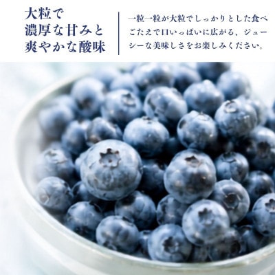 【毎月定期便】冷凍ブルーベリー2kg(500g×4パック)全6回
