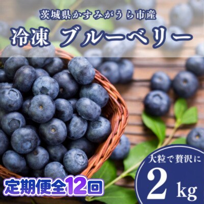 【毎月定期便】冷凍ブルーベリー2kg(500g×4パック)全12回