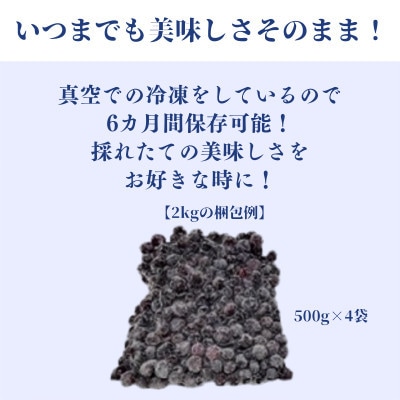 【毎月定期便】冷凍ブルーベリー2kg(500g×4パック)全12回