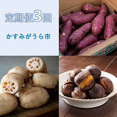 2023年10月発送開始『定期便』茨城県 特産品3種 全3回