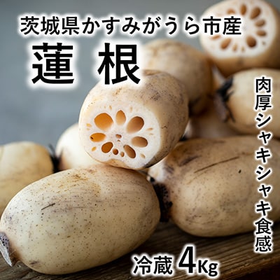 2023年10月発送開始『定期便』茨城県 特産品3種 全3回