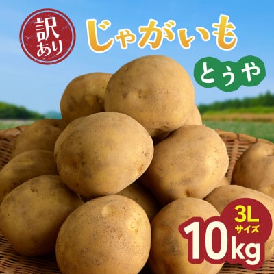 産地直送!訳ありお芋屋さんのBigじゃがいも(品種:とうや)10kg