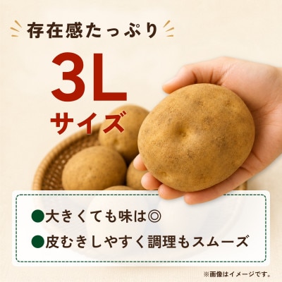 産地直送!訳ありお芋屋さんのBigじゃがいも(品種:とうや)10kg
