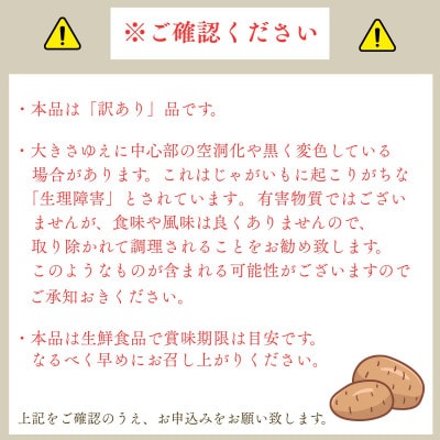 産地直送!訳ありお芋屋さんのBigじゃがいも(品種:とうや)10kg