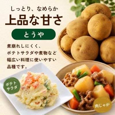 産地直送!訳ありお芋屋さんのBigじゃがいも(品種:とうや)10kg